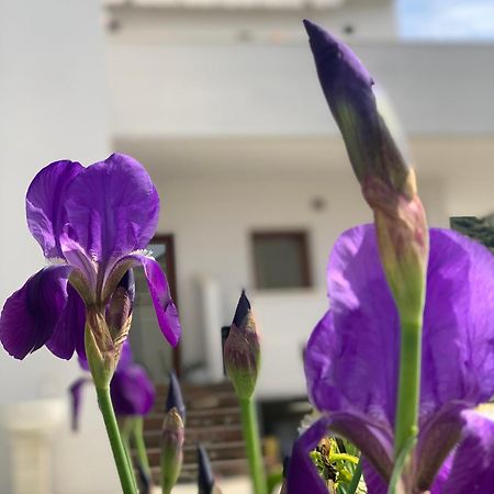 Villa Rreze Dielli Vlorë Exteriör bild
