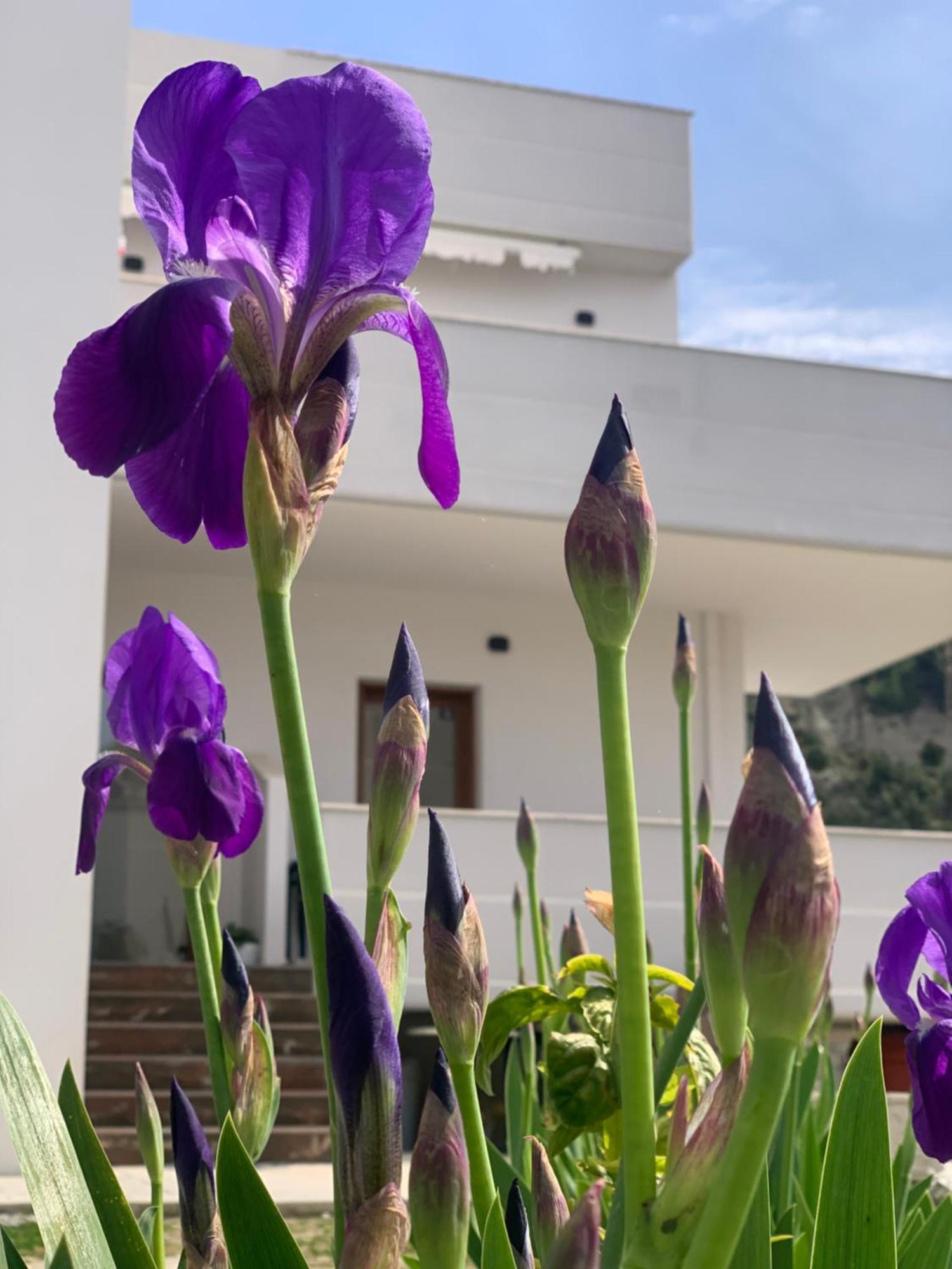 Villa Rreze Dielli Vlorë Exteriör bild